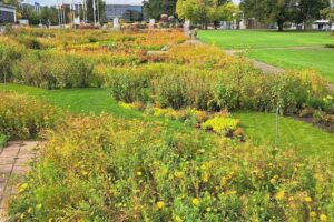 Egapark Erfurt