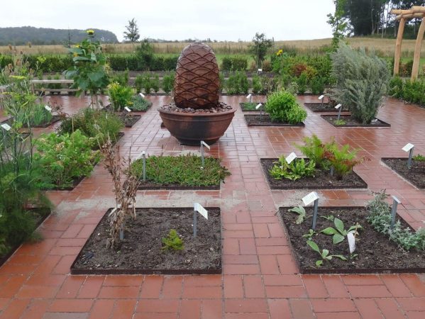 00 DSC02096 juli 2019, Medicinhaverne,