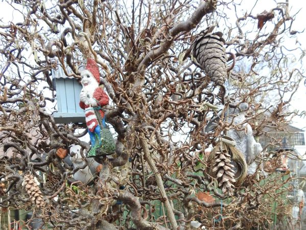 01 DSCN6125 nisster i træ