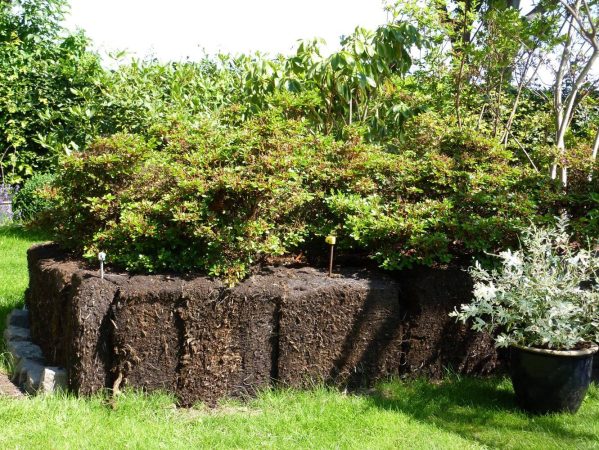 01 P1050301 juli 2013 Stadion klyner