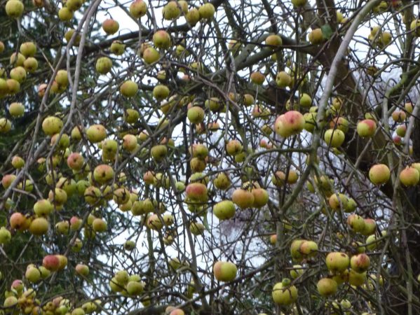 05 facebook 2020 P1010934