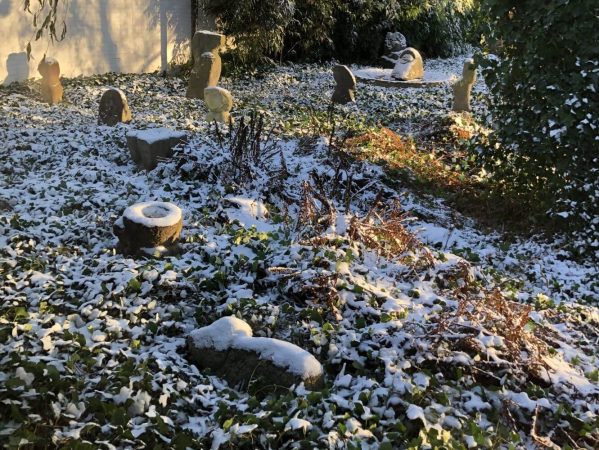 08 December 2022 Louisiana IMG_4970