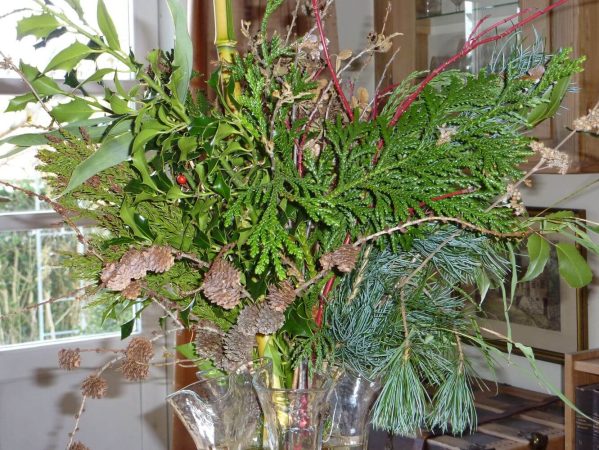 10 stedsegrøn buket P1000860 januar 2010, buket, stedsegrønne