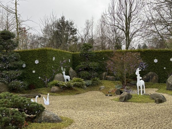 12 IMG_5972 December 2024, Birkegården