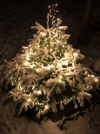 13 IMG_4418 december 2021, julestemning, sne julelys