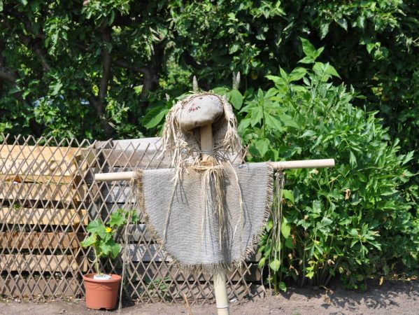 15 DSC_0439 juni 2009, kolonihave, fugleskræmsel, Stadion