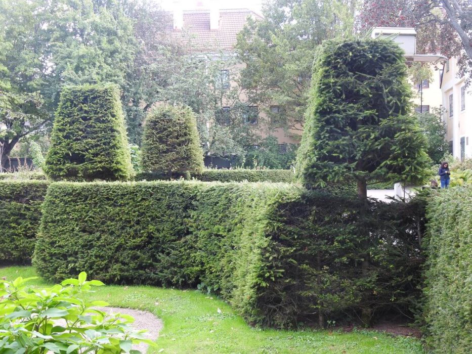DSCN3534 2 2020 september 2019, Hortus Uplandicus, hække HB 4 2021