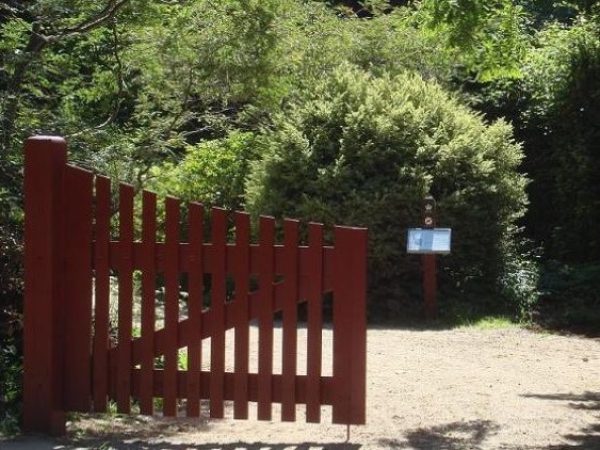 Forstbotanisk have