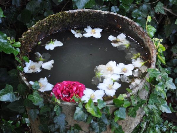 flydende blomster