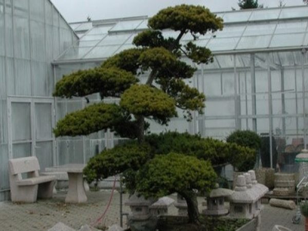 japansk stil